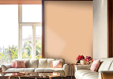 Contemporary-Living-Room-Design-with-Stylish-Hall-Colour-Combination-m