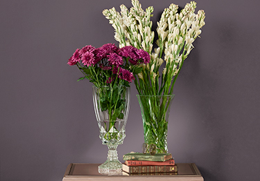 Regal-Hall-Colour-Combinations-m