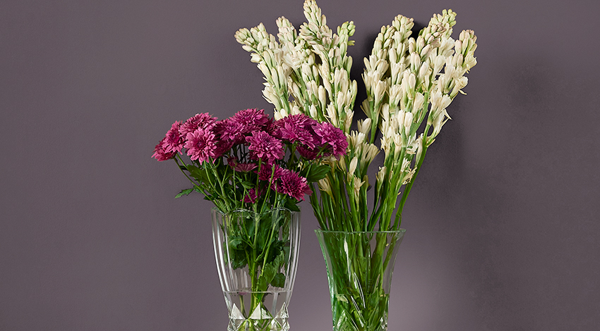 Regal-Hall-Colour-Combinations