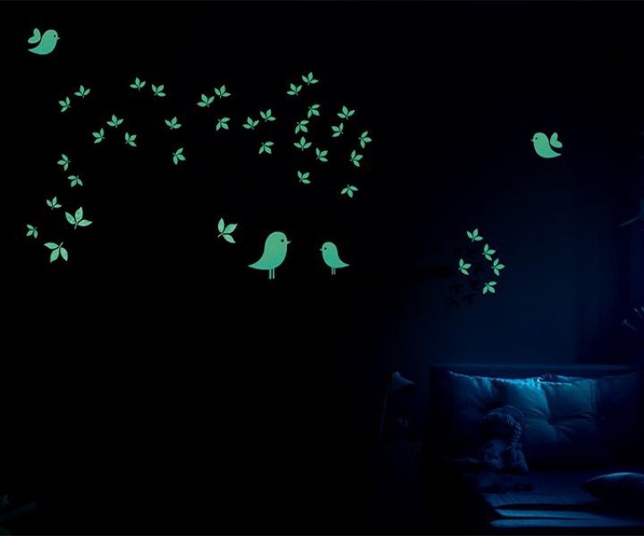 kids-world-bird-time-stories-n-asian-paints