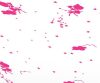Fairy Dust Kids Wall Theme - Asian Paints