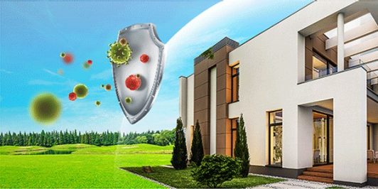 Apex Waterproof Emulsion For A Smooth Exterior Wall Finish Asian Paints Wall & ceiling emulsion paint. apex waterproof emulsion for a smooth