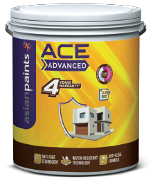 Asian paints new arrivals products