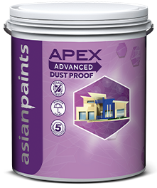 Apex Advanced Wall Finish With Anti Algal Properties Asian Paints