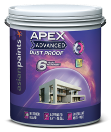Types of Exterior Wall Paints for your Home Asian Paints