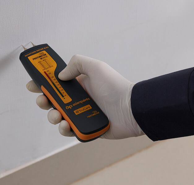 Waterproofing Solutions Service for Damp Walls Patches Asian