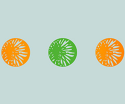 flower-powerasian-paints- flower-powerasian-paints-