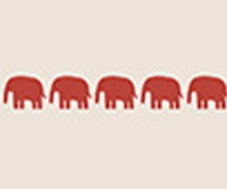 safariasian-paints- safariasian-paints-