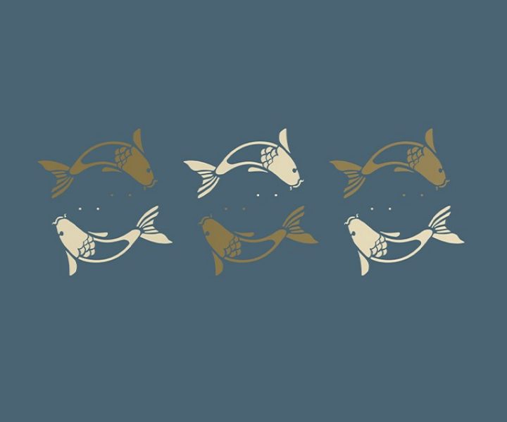 stencil-asian-paints-aqua