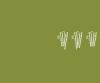 stencil-asian-paints-bamboo