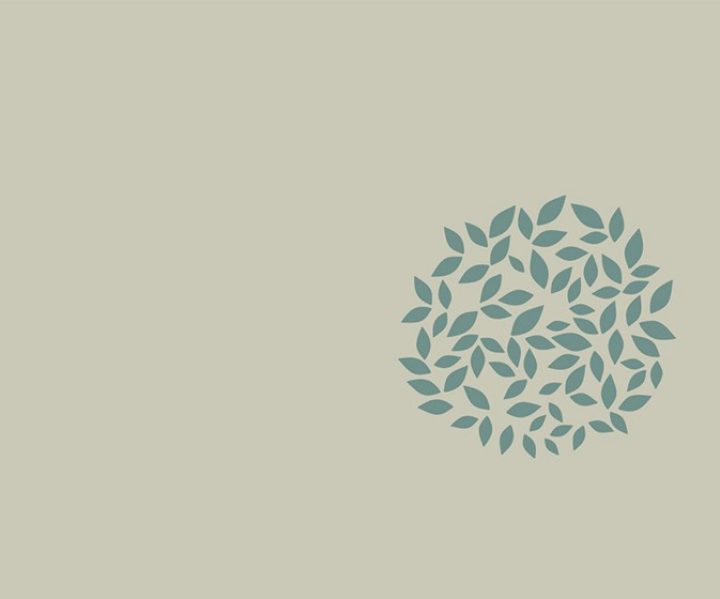 stencil-asian-paints-bush
