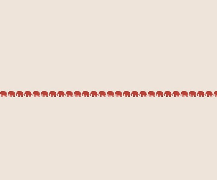 stencil-asian-paints-safari