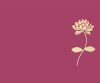 stencil-asian-paints-serenity