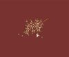 stencil-asian-paints-spring-diaries