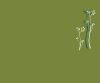 stencil-asian-paints-summer-bloom