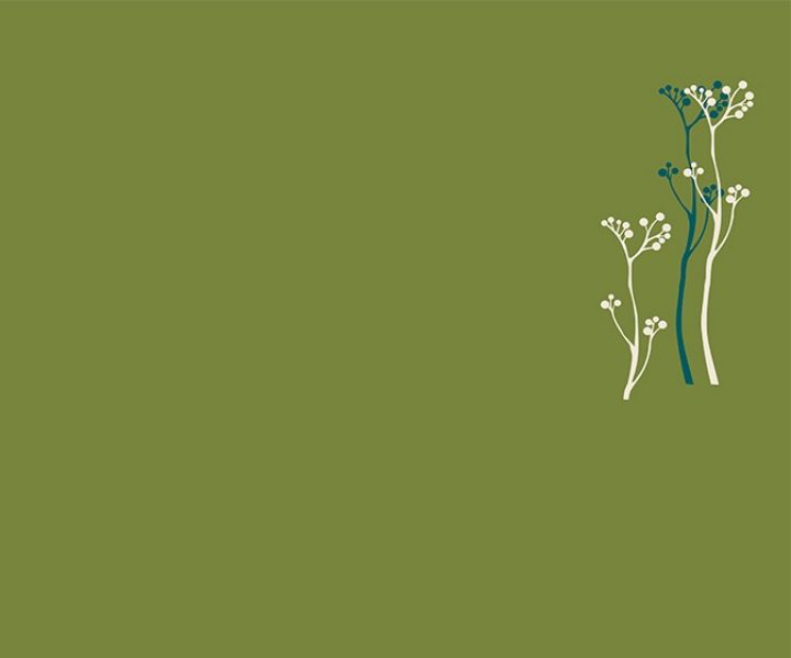 stencil-asian-paints-summer-bloom