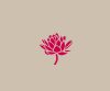 stencil-asian-paints-tranquil-lagoon