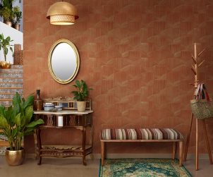 exterior-texture-room-shots-asian-paints-TNB1003CMB1001