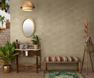 exterior-texture-room-shots-asian-paints-TNB1004CMB1007
