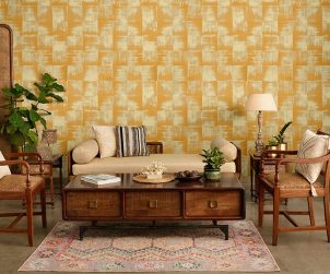 exterior-texture-room-shots-asian-paints-TNB1005CMB1001