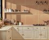 exterior-texture-room-shots-asian-paints-TNB1013CMB1003