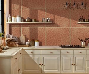 exterior-texture-room-shots-asian-paints-TNB1013CMB1007
