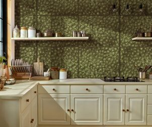 exterior-texture-room-shots-asian-paints-TNB1014CMB1004