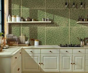 exterior-texture-room-shots-asian-paints-TNB1014CMB1006