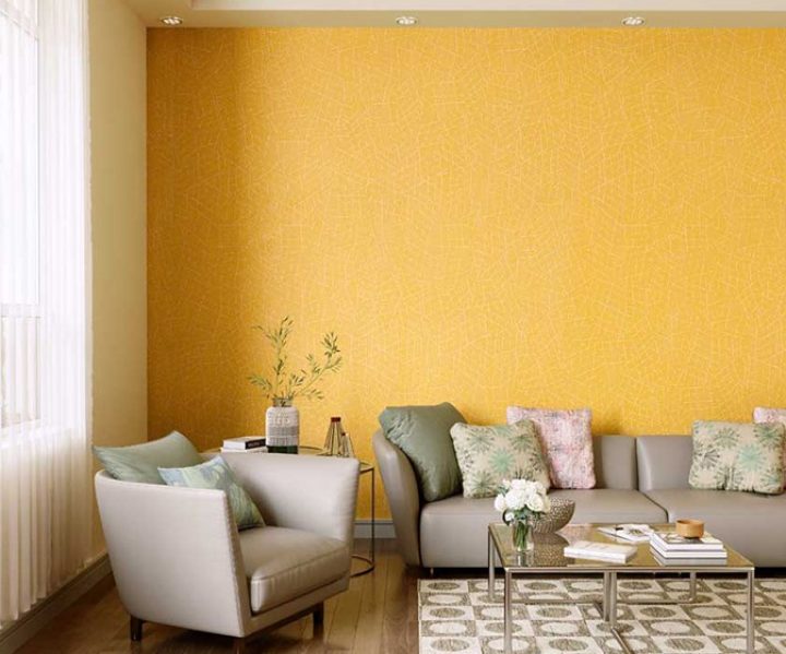 Asian paints texture roller price deals