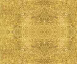 IDC0101CMB1004