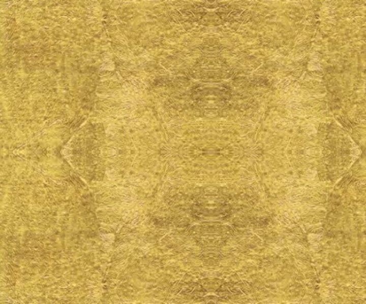 IDC0101CMB1004