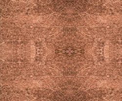 IDC0101CMB1006