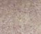 IDC1009CMB1005 IDC1009CMB1005