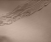 IMP1008CMB1005