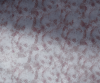 IMP1010CMB1003
