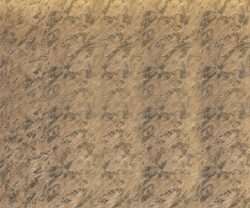 LXE1001CMB1001