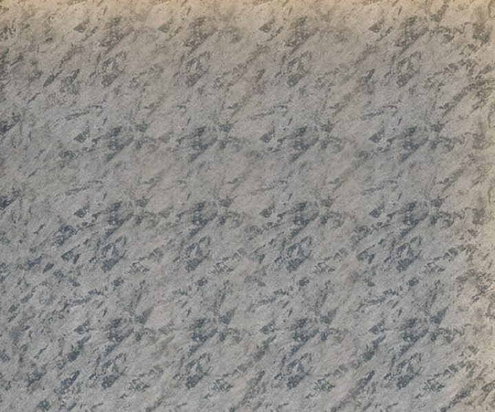 LXE1001CMB1009