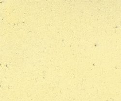 MSC1014CMB1002