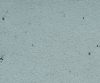 MSC1014CMB1004