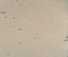 MSC1014CMB1005