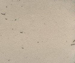 MSC1014CMB1005