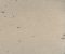 MSC1014CMB1005