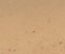 MSC1014CMB1006