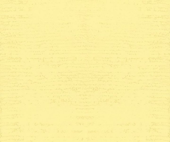MSC1015CMB1002