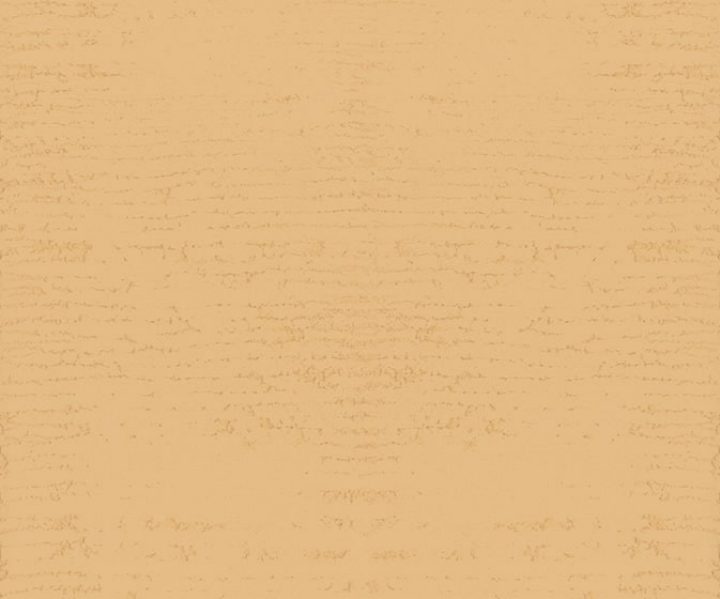 MSC1015CMB1006