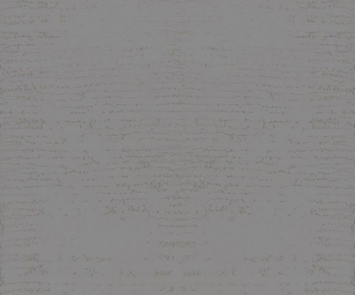 MSC1015CMB1009