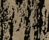MSC1017CMB1001