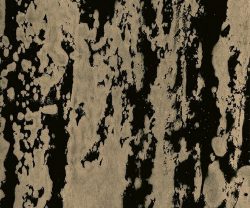 MSC1017CMB1001
