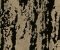 MSC1017CMB1001