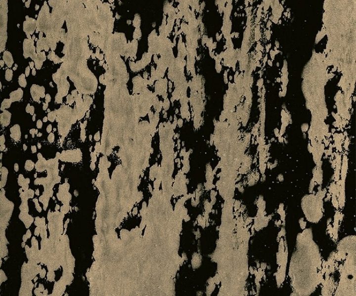 MSC1017CMB1001